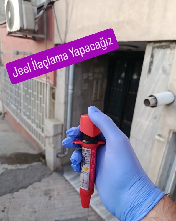 İstanbul Profesyonel Jel İlaçlama ve Mutfak Böceği Çözümleri